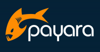 Payara Services Limited's logo